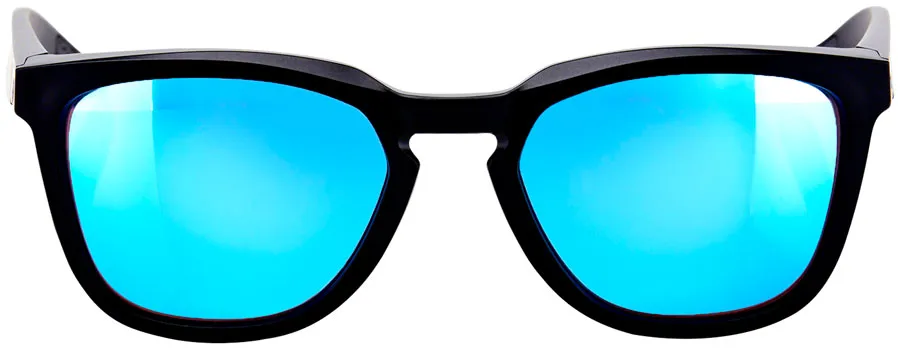 100% Hudson Sunglasses